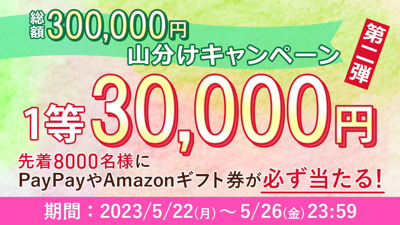 総額30万円山分けキャンペーン 第二弾！